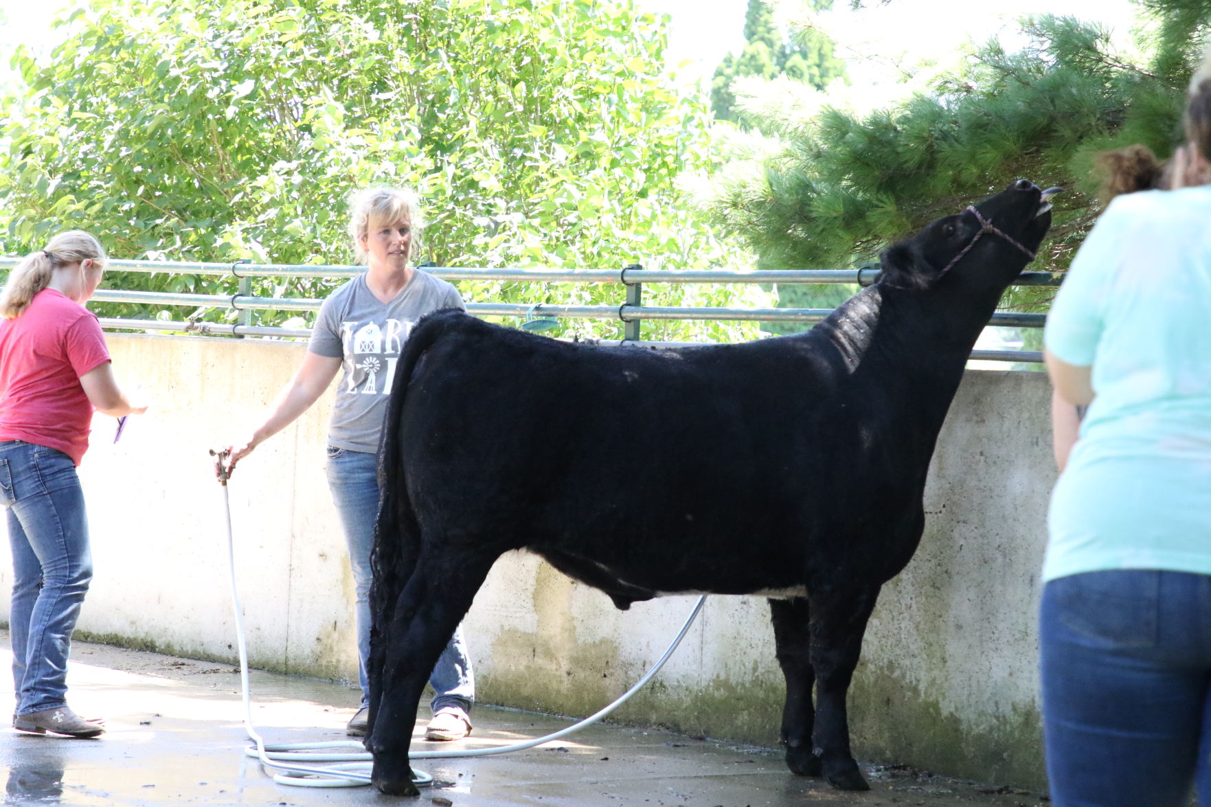 Animals_811.JPG